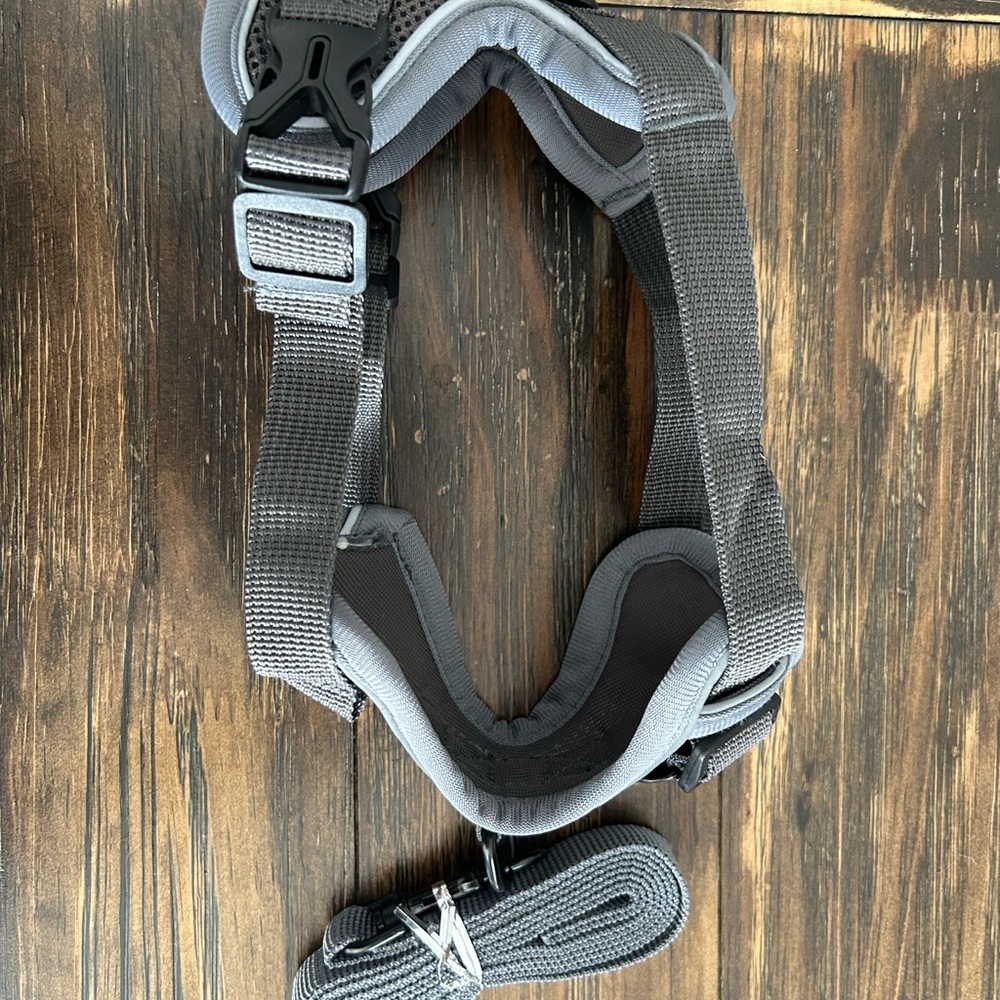 Dog Harness and Leash Set - Medium